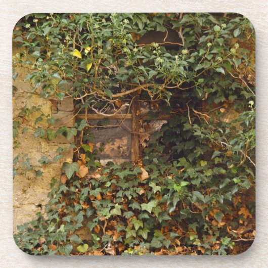 Spookraam  bier onderzetter (Voorkant)