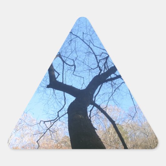 Spookstructuur Sticker (Voorkant)