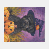 Spooky Affenpinscher Halloween Heks en Pompoen Fleece Deken (Voorkant (Horizontaal))