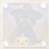 Spooky Affenpinscher Halloween Heks en Pompoen Glazen Onderzetter (Achterkant)