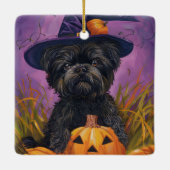 Spooky Affenpinscher Halloween Heks en Pompoen Keramisch Ornament (Achterkant)
