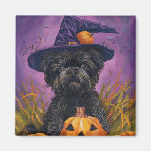 Spooky Affenpinscher Halloween Heks en Pompoen Magneet (Voorkant)