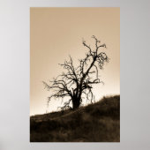 Spooky Autumn Oak-boom Poster (Voorkant)