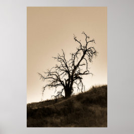 Spooky Autumn Oak-boom Poster