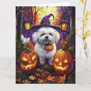 Spooky Bichon Frise Halloween heks en pompoen Kaart