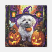 Spooky Bichon Frise Halloween heks en pompoen Magneet (Voorkant)