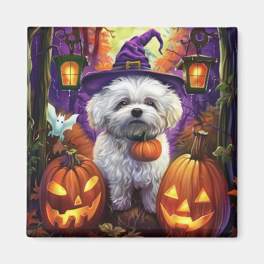 Spooky Bichon Frise Halloween heks en pompoen Magneet (Voorkant)