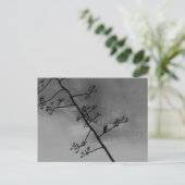 Spooky Bird op Limb Silhouette Zwart en Wit Briefkaart (Staand voorkant)
