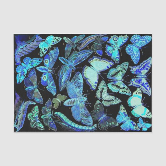 Spooky Black Blue Butterfly en Moth Tissue Paper Tissuepapier (Voorkant)