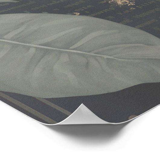 Spooky Black Cat Halloween Poster (Hoek)