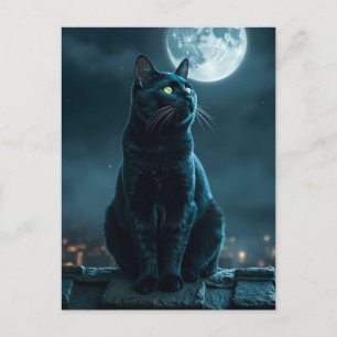 Spooky Black Cat Halloween Wallpaper - 2025 Nacht! Feestdagenkaart