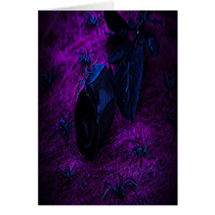 Spooky Black Material Roos, Black Spiers