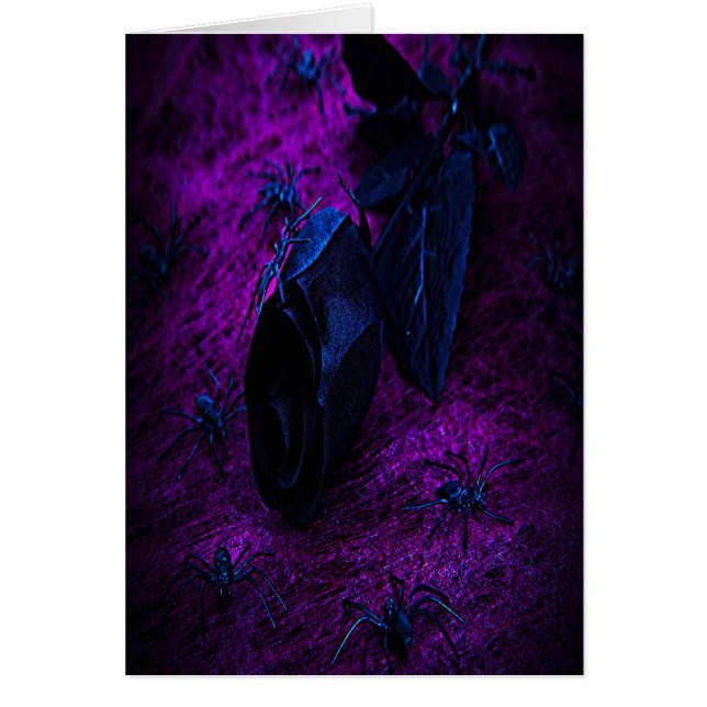 Spooky Black Material Roos, Black Spiers (Voorkant)