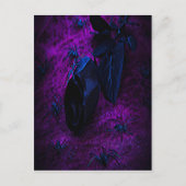 Spooky Black Material Roos, Black Spiers Briefkaart (Voorkant)