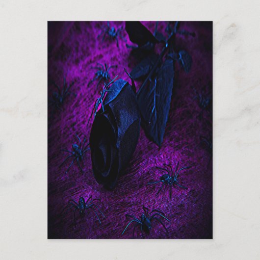 Spooky Black Material Roos, Black Spiers Briefkaart (Voorkant)
