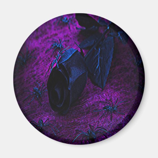 Spooky Black Material Roos, Black Spiers Magneet (Voorkant)