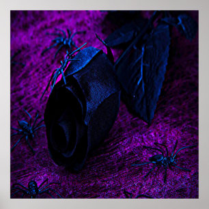 Spooky Black Material Roos, Black Spiers Poster