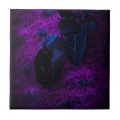 Spooky Black Material Roos, Black Spiers Tegeltje (Voorkant)