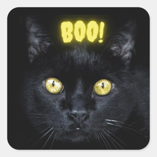 Spooky Boo Black Cat Halloween Vierkante Sticker (Voorkant)