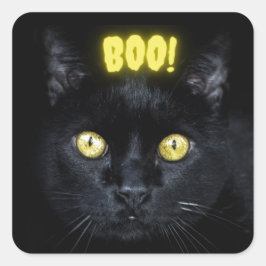 Spooky Boo Black Cat Halloween Vierkante Sticker