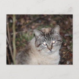 Spooky Briefkaart