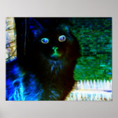 Spooky Cat Poster (Voorkant)