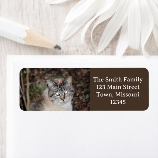 Spooky Etiket (Insitu)