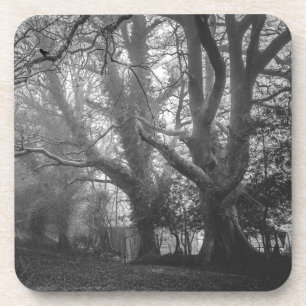 Spooky Forest Black en White Photography Bier Onderzetter