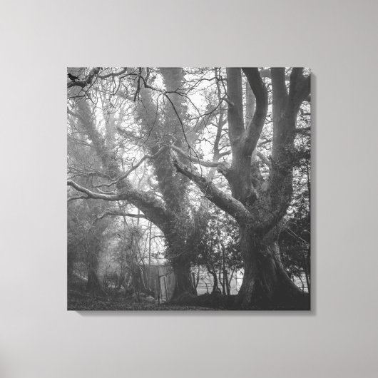 Spooky Forest Black en White Photography Canvas Afdruk (Voorkant)