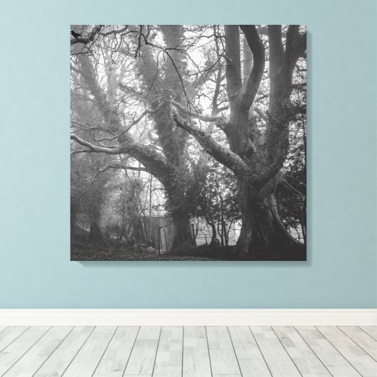 Spooky Forest Black en White Photography Canvas Afdruk (Insitu (Houten vloer))