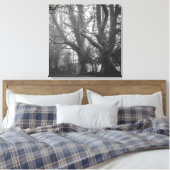 Spooky Forest Black en White Photography Canvas Afdruk (Insitu (Slaapkamer))