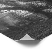 Spooky Forest Black en White Photography Poster (Hoek)