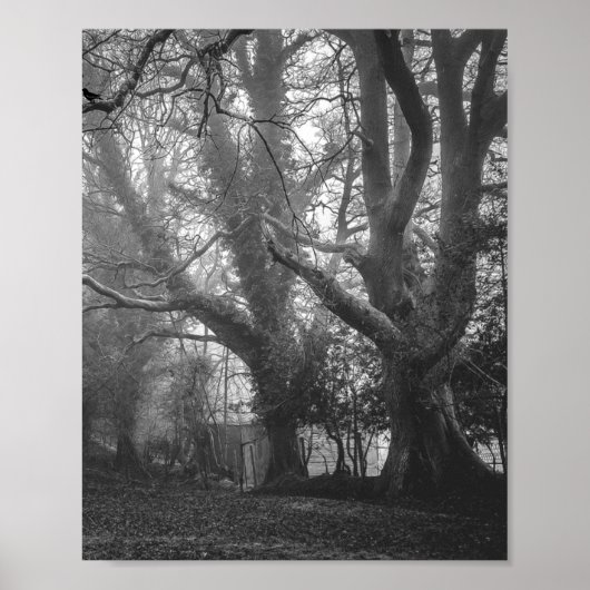 Spooky Forest Black en White Photography Poster (Voorkant)