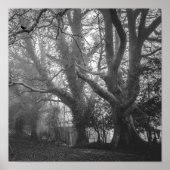 Spooky Forest Black en White Photography Poster (Voorkant)