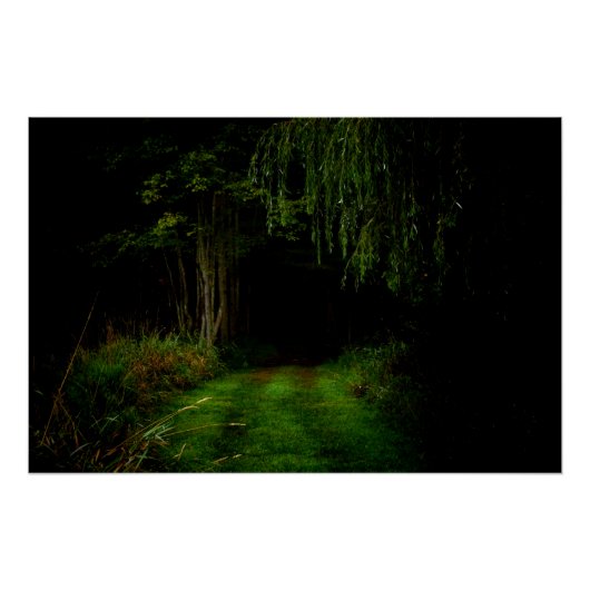 Spooky Forest Perfect Poster (Voorkant)