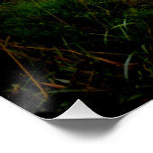 Spooky Forest Perfect Poster (Hoek)