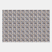 Spooky Fun Halloween Black White Skulls Stripes Inpakpapier Vel (Voorkant 3)