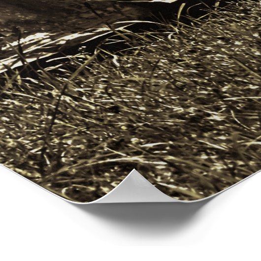 Spooky Graveyard Poster (Hoek)