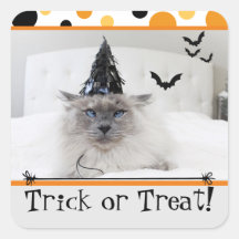 Spooky Halloween Cat In Witch Pet Sticker