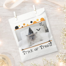 Spooky Halloween Cat In Witch Pet Sticker