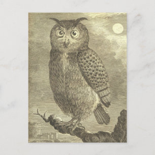 Spooky  Halloween Eagle Owl Briefkaart