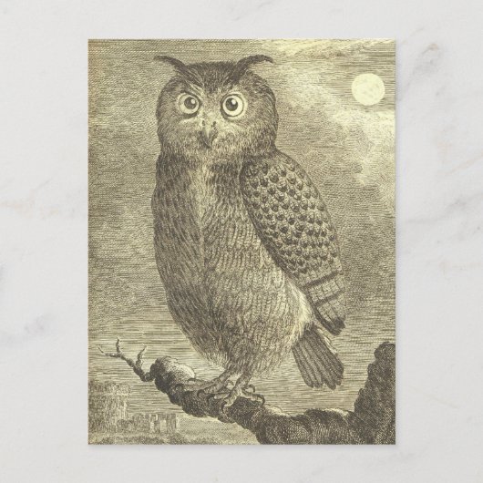 Spooky  Halloween Eagle Owl Briefkaart (Voorkant)