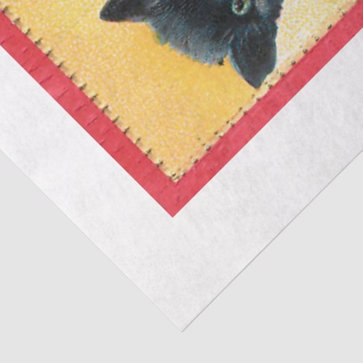 Spooky  Halloween-getuige met zwarte kat Tissuepapier (Detail)