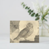 Spooky  Halloween Owl Briefkaart (Staand voorkant)