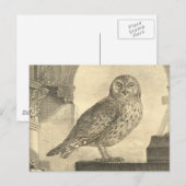 Spooky  Halloween Owl Briefkaart (Voorkant / Achterkant)