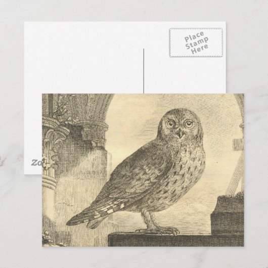 Spooky  Halloween Owl Briefkaart (Voorkant / Achterkant)