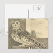 Spooky  Halloween Owl Briefkaart (Voorkant / Achterkant)