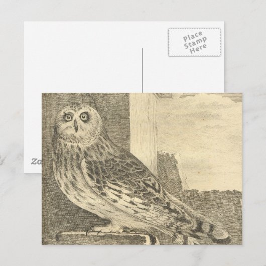 Spooky  Halloween Owl Briefkaart (Voorkant / Achterkant)