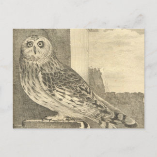 Spooky Halloween Owl Briefkaart