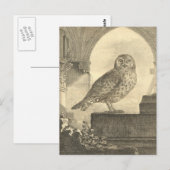 Spooky  Halloween Owl Briefkaarten (Voorkant / Achterkant)